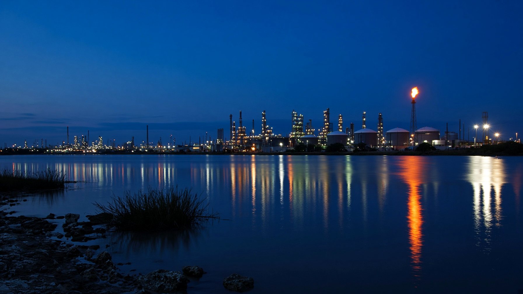 Blue-hour plant lights doubled in water