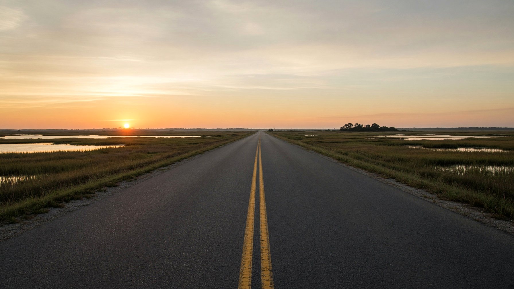 County road through marsh