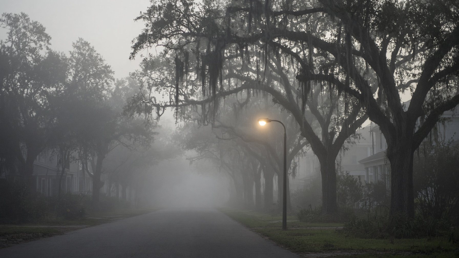 fog street