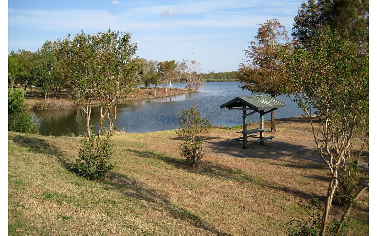 This is the Goose Creek stream located in Baytown, Texas. This portion of the trail is behind the old San Jacinto Methodist hospital and the trail is lined with crepe myrtle shrubs.  The shrubs and trees have been defoliated by Hurricane Ike.
