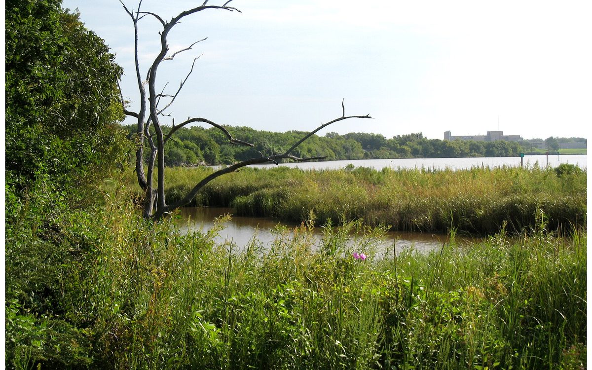 Goose Creek Stream located in Baytown, Texas.  This area is very close to Robert E. Lee High School and the building in the background is the old San Jacinto Methodist hospital on Decker Drive.