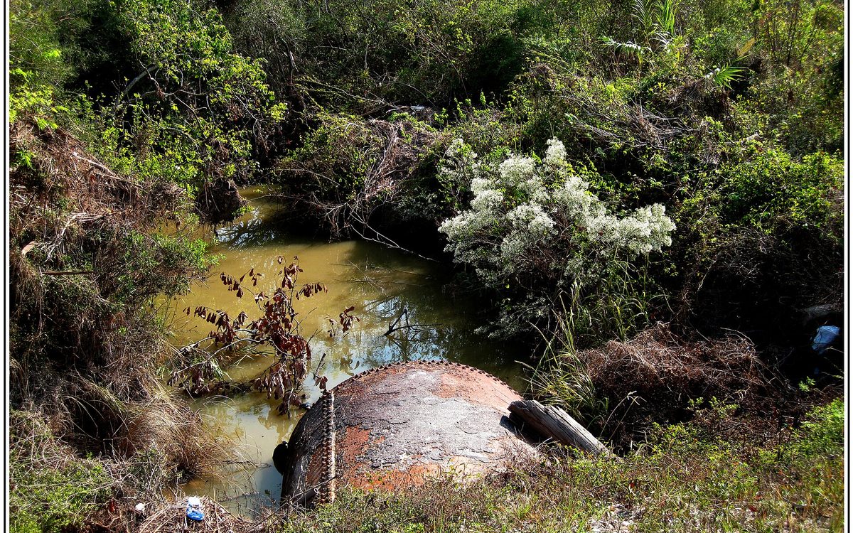 Baytown Texas bar ditch Evergreen Road 10-11-2008