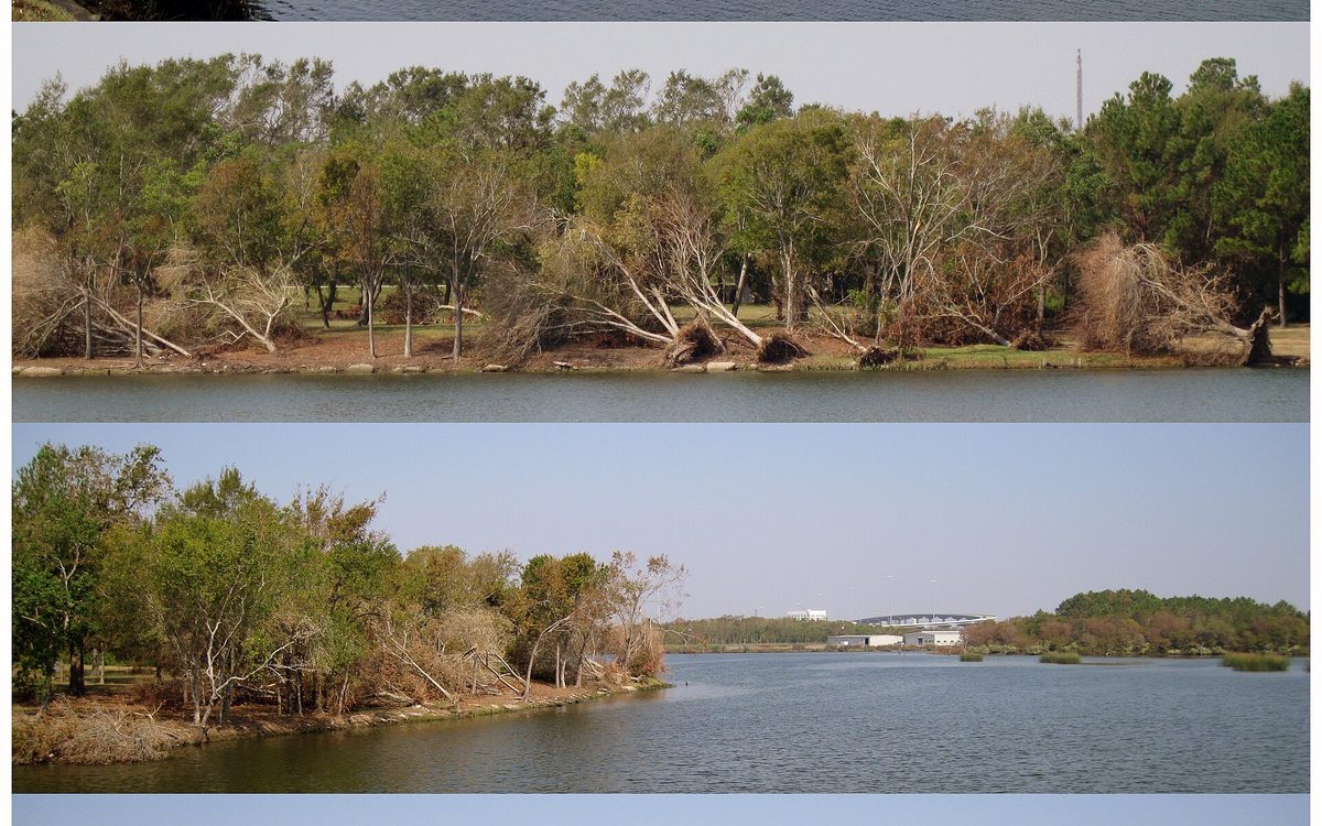 This is a composite of four views of the Goose Creek Stream behind the old San Jacinto Methodist Hospital in Baytown, Texas showing the tree damage caused by Hurricane Ike.