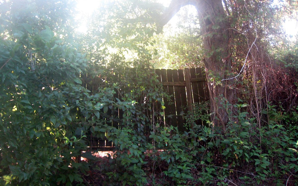 Goose Creek Trail, Baytown, Texas