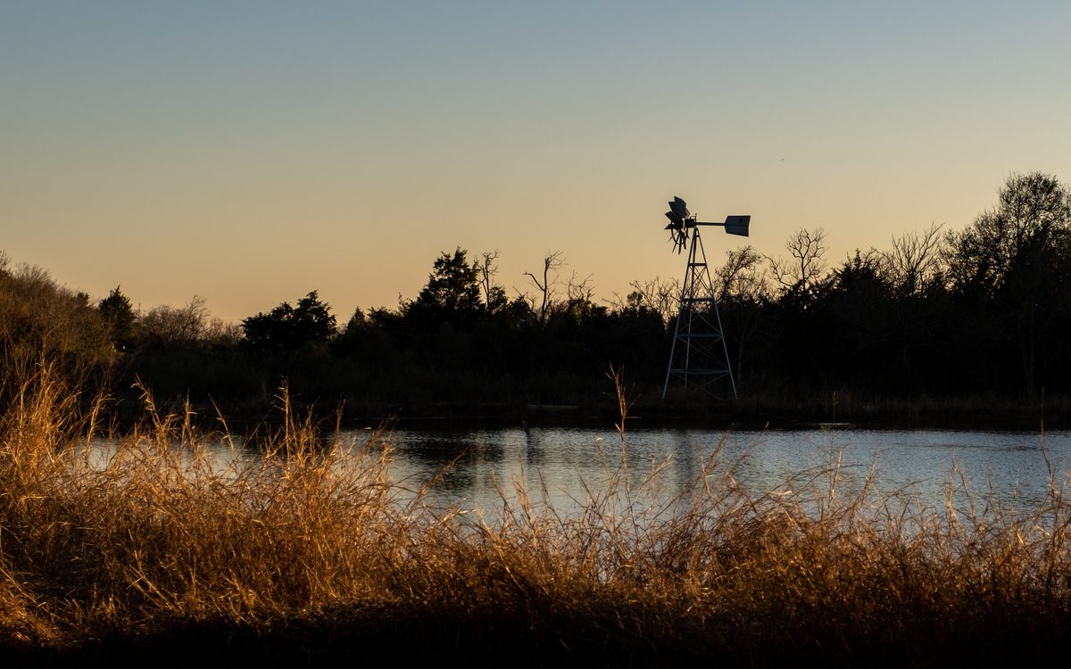 File:Baytown Nature Center, Texas 12-31-22 - Flickr - Sharon Mollerus.jpg